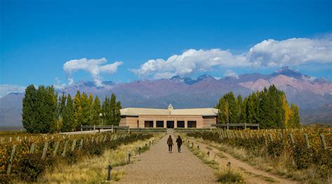 Boutique hotels + vineyards: A 4-day Mendoza Wine Tour | UPSCAPE