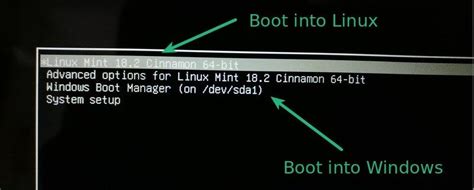 Dual Boot Linux Mint And Windows 10 or 11 [Beginner's Guide]