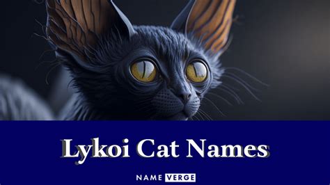 Lykoi Cat Names: 171+ Best Names For Lykoi Cat Breed