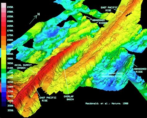 3-d Map Of Part Of The East Pacific Rise Photograph by Dr Ken Macdonald/science Photo Library ...