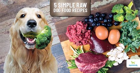 Which Is Better For Dogs Cooked Or Raw Meat