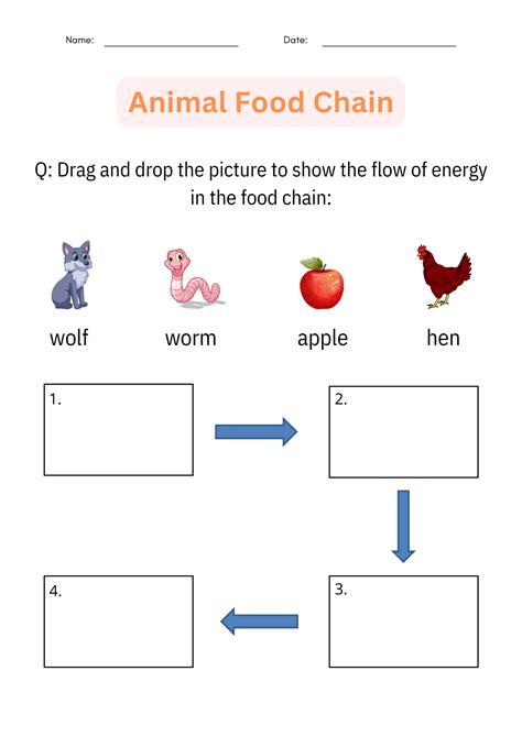 Printable Animal Food Chain Worksheet and Activity - Cut And Paste for Grade 1 | Teaching Resources