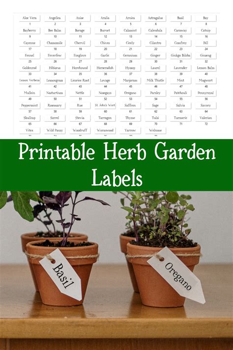 Herb Garden Labels Printable Fun Whimsical Font Unique - Etsy