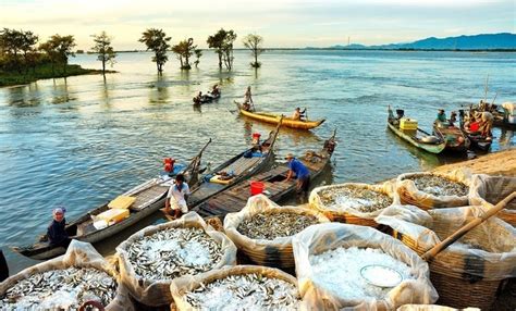 Mekong Delta tourism charm waning - Guide Vietnam