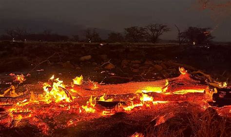 Maui fire causes: What we know so far about the cause of Hawaii wildfires - US News - News ...