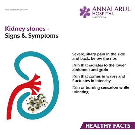 Kidney Stones Signs & Symptoms – Multispeciality Hospitals in Chennai