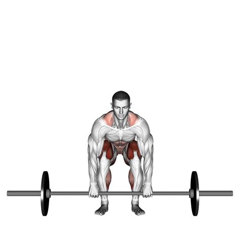 Barbell Deadlift: 4 Major Benefits & Muscles Used Explained - Inspire US