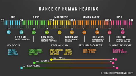 Audio Frequency Spectrum Cheatsheet (Laminated Double Sided) 6x9 | ubicaciondepersonas.cdmx.gob.mx