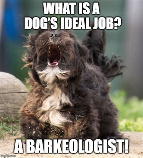 If the dog loves barking so much, it's pretty obvious that Barkeologist ...