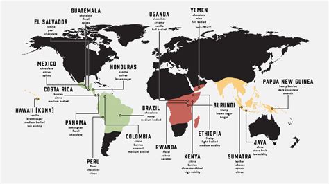 What Is The Coffee Belt And Where Is It Located? | Press Coffee Roasters