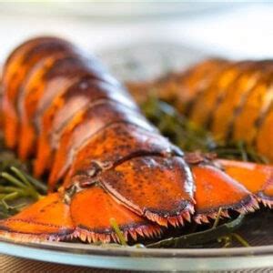 Fresh Maine Lobster Tails | Cape Porpoise Lobster Co.