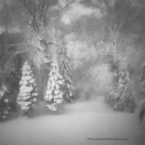 Snow Storm 2023 Photograph by LeeAnn McLaneGoetz McLaneGoetzStudioLLCcom - Fine Art America