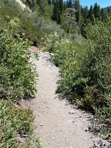 Hiking Trails in Utah | Hiking trails, Trail, Hiking