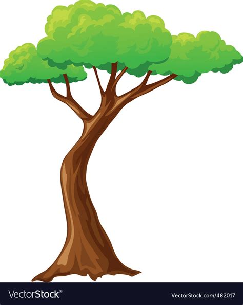 Cartoon tree Royalty Free Vector Image - VectorStock