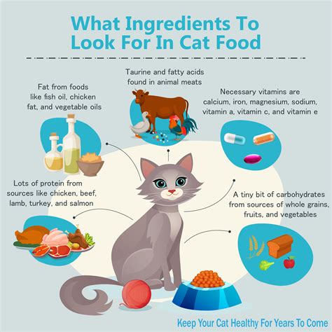 Cat Food Ingredients Infographic(1) - Animals Time