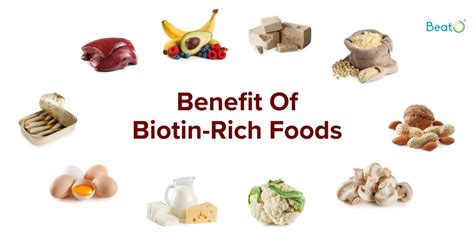 Benefit of Biotin Rich Foods And Why Is It Essential To Add To Your ...