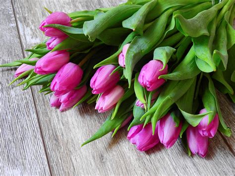 Bouquet with pink tulips - Wonderful spring season