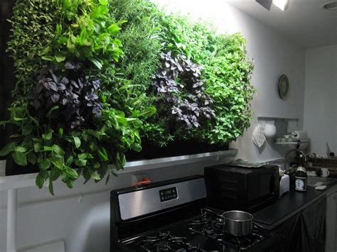 Bring Nature Indoors: Hydroponic Herb Wall