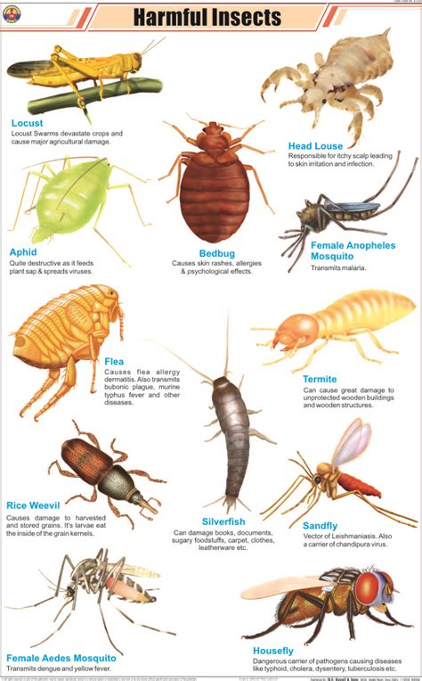 HARMFUL INSECTS - Hospital Equipment Manufacturing Company