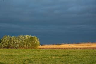 Fall Harvest in the Late Day Sun | Carl Wycoff | Flickr