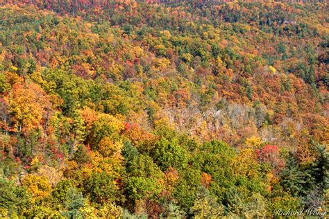 Appalachian Fall Color | Natural Bridge State Resort Park, Kentucky ...