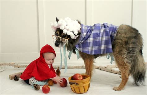 The Sweetest Little Red Riding Hood and the Big Bad Wolf Costume {a ...