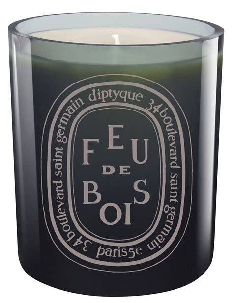 DIPTYQUE LARGE 300G CANDLE - The Malibu Colony Company