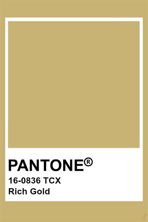 Pantone Rich Gold | Gold pantone color, Pantone palette, Pantone colour palettes