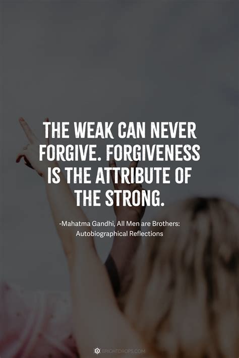 89 Forgiveness Quotes to Help You Heal & Let Go - Bright Drops