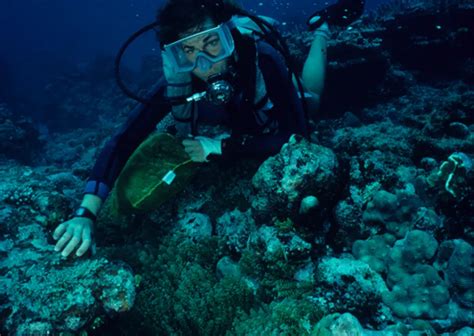 Diving in Guam | Smithsonian Ocean