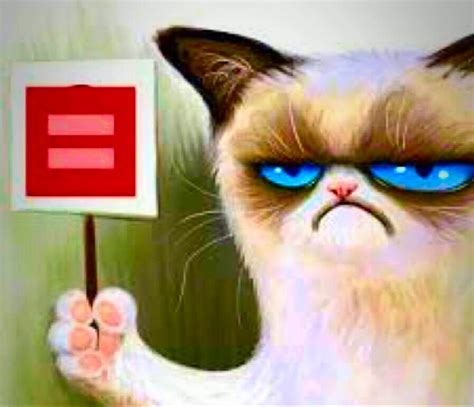 Grumpy Cat Meme Angry | Hot Sex Picture