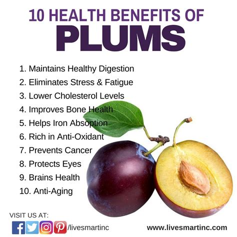 Fruit Benefits Of Plum - Herbs and Food Recipes