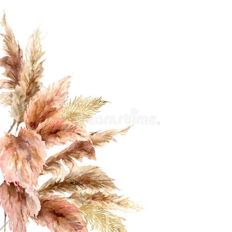 Pampas Grass Stock Illustrations – 5,435 Pampas Grass Stock Illustrations, Vectors & Clipart ...