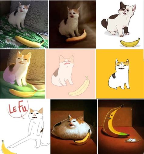 The many pictures of cat and banana - Funny | Animal memes, Cute funny animals, Cat memes