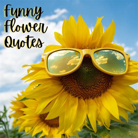 Funny Flower Quotes and Sayings - Holidappy