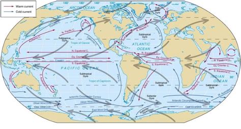 Global Distribution of Ocean Currents - INSIGHTS IAS - Simplifying UPSC IAS Exam Preparation