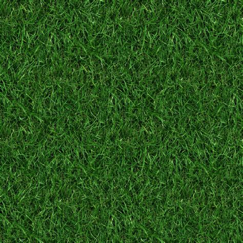 (GRASS 4) seamless turf lawn green ground field texture – The Jolly Gardener