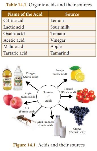 Acids - Physical properties, Chemical properties, Uses of Acids