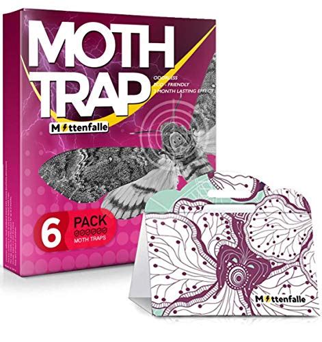 Top 5 Best Clothing Moth Traps of 2020: Reviews and Buyer’s Guide