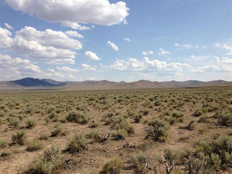 Great Basin Shrub Steppe | One Earth