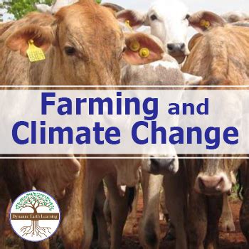 Farming and Climate Change | Video, Handout, and Worksheets | Made By Teachers