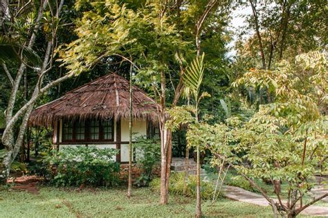 Vintage Straw Thatched Roof Cottage in Tropical Forest Garden, K Editorial Stock Photo - Image ...