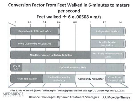 Gait Speed Chart | Labb by AG