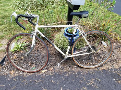 Vintage Raleigh road bike - Bike Forums