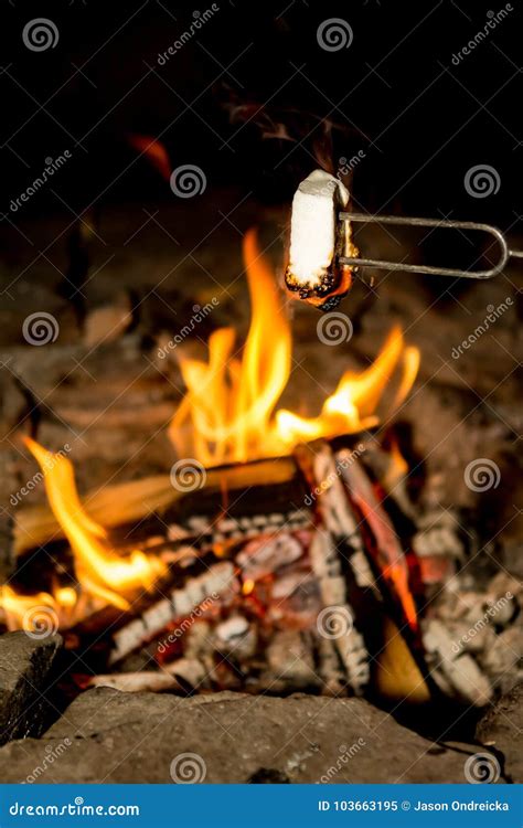 Cooking Marshmallows on the Camp Fire. Stock Image - Image of hygge ...