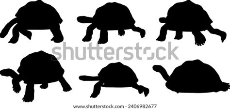 Vector Tortoise Animal Silhouette Set Stock Vector (Royalty Free) 2406982677 | Shutterstock