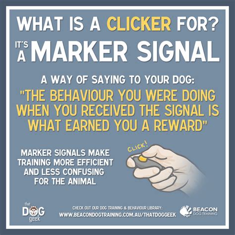 What Is A Clicker For? - beacondogtraining Blog