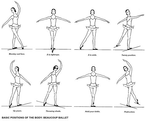 ballet explained (positions of the body) // movita beaucoup | Ballet positions, Ballet moves ...