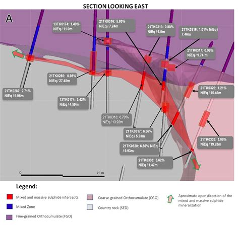 Talon Metals (TSX:TLO) Strikes Nickel Supply Deal With Tesla (NASDAQ ...