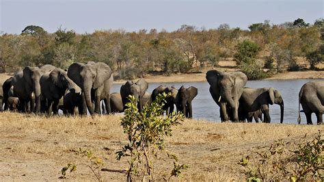 KRUGER NATIONAL PARK - Travel Republic Africa